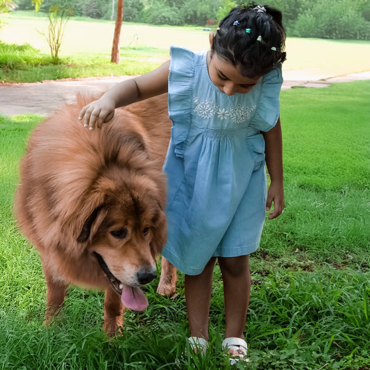 🌿 Lucy Dress – Light Blue Denim  with Whisper Embroidery & a chic backline