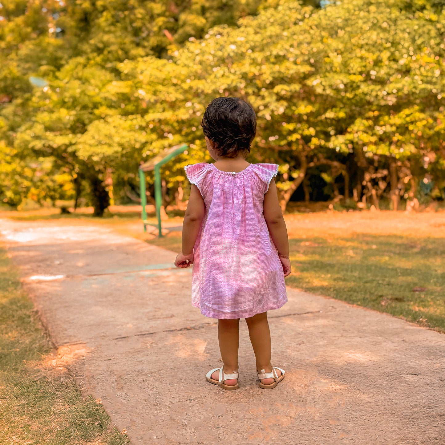 🌸 Clara Smocked Pink Gingham Dress