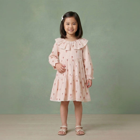 Girls fairy print cotton dobby dress with lace-trimmed ruffle collar and puff sleeves – Erde India, ages 2–6
